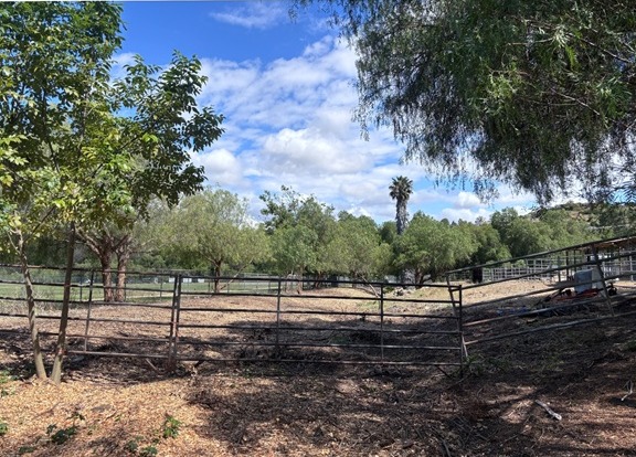The same stretch after the clearance: open ground, trimmed trees and a pipe-rail fence