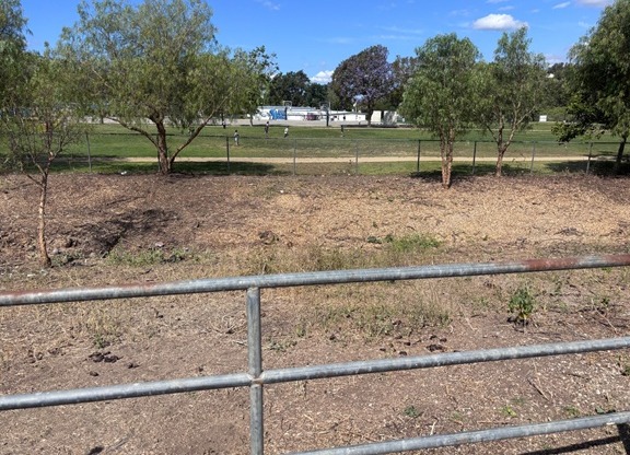 Cleared ground and a few trimmed trees after the clearance, with a playing field visible beyond