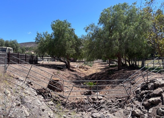 The rock-lined channel after the clearance, open along its length with the palm gone and the trees trimmed